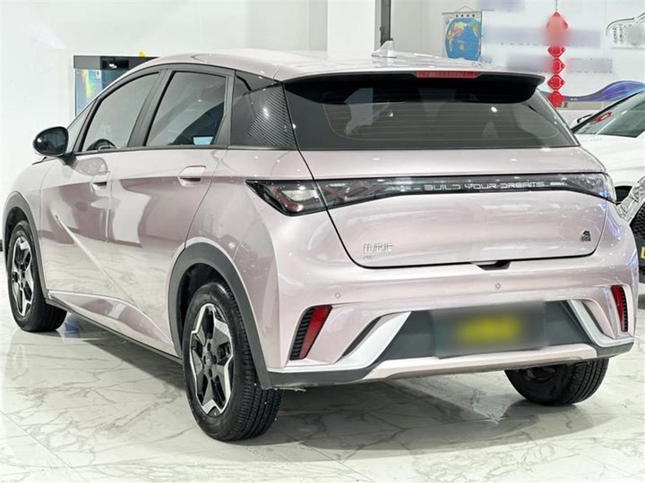 Фото 4 - BYD Dolphin