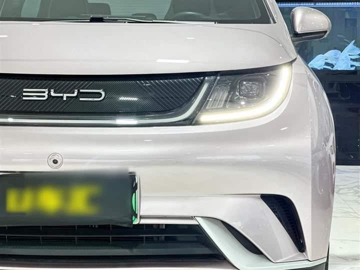 Фото 7 - BYD Dolphin