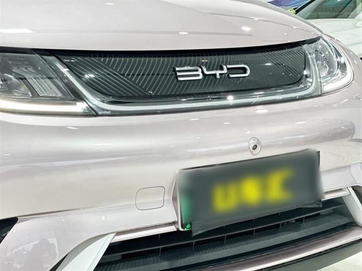 Фото 9 - BYD Dolphin