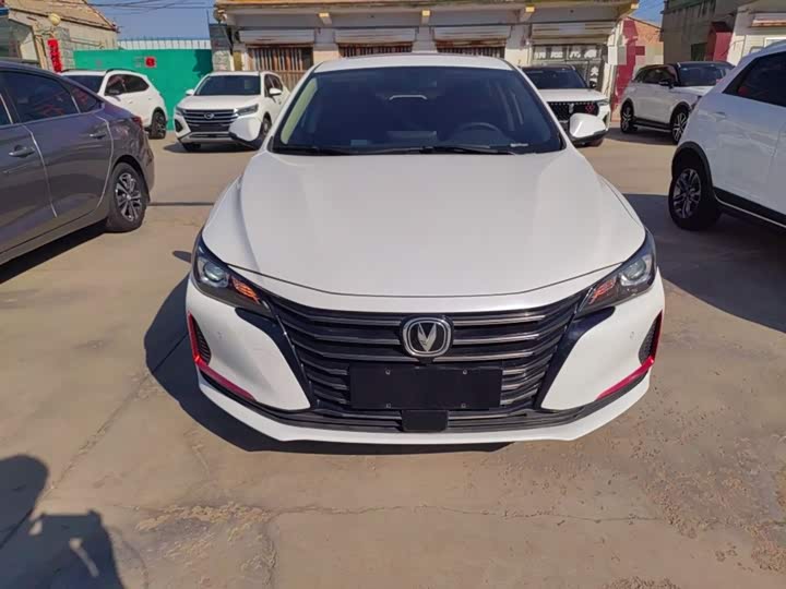 Фото 3 - Changan Raeton CC