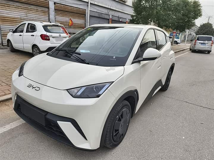 Фото 1 - BYD Seagull