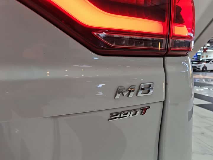 Фото 19 - GAC Trumpchi M8