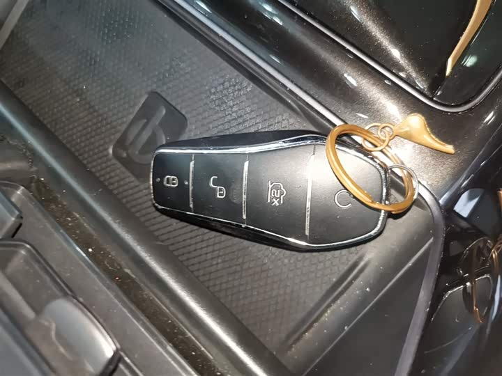 Фото 8 - BYD Frigate 07