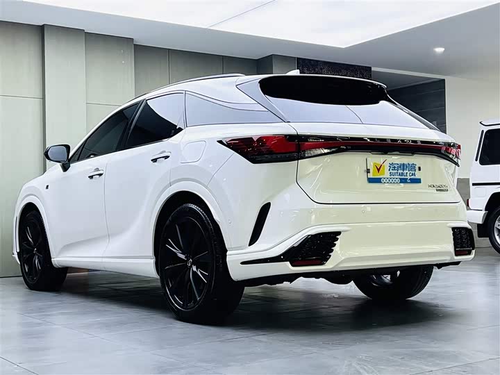 Фото 6 - Lexus RX