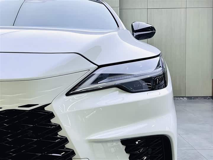 Фото 7 - Lexus RX