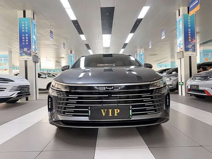 Фото 2 - BYD Destroyer 05