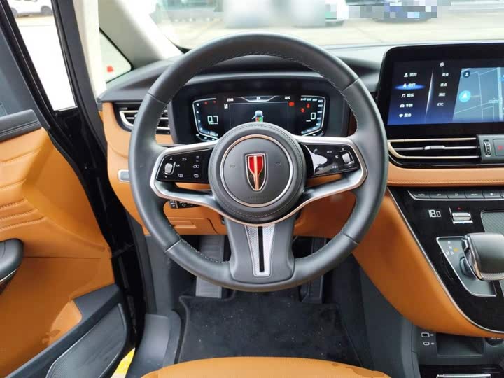 Фото 11 - Hongqi HQ9