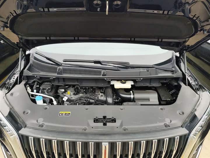 Фото 21 - Hongqi HQ9