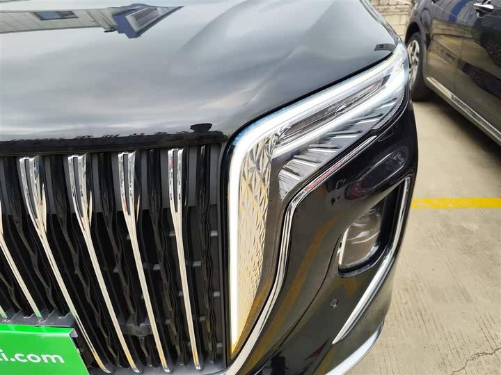 Фото 25 - Hongqi HQ9