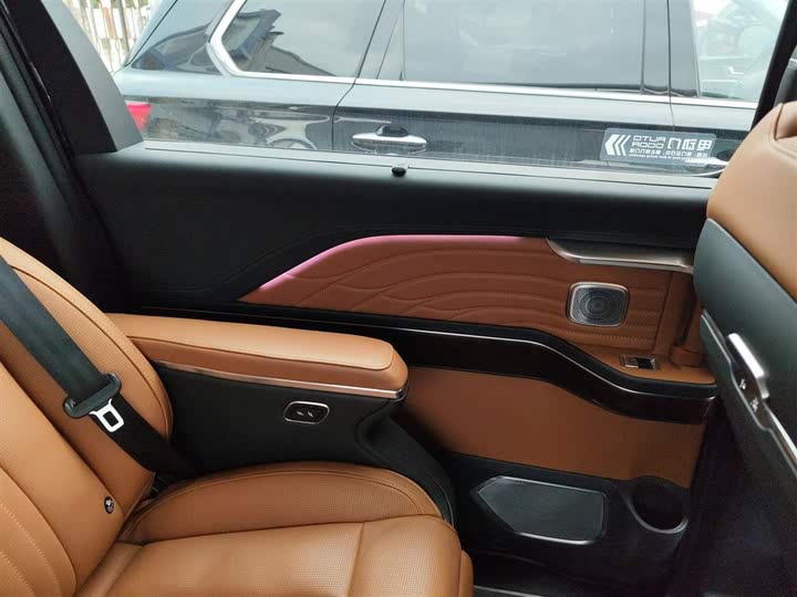 Фото 30 - Hongqi HQ9