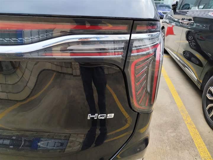 Фото 8 - Hongqi HQ9