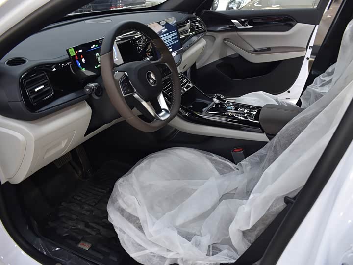 Фото 17 - BYD Qin Plus