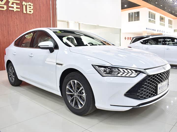 Фото 4 - BYD Qin Plus