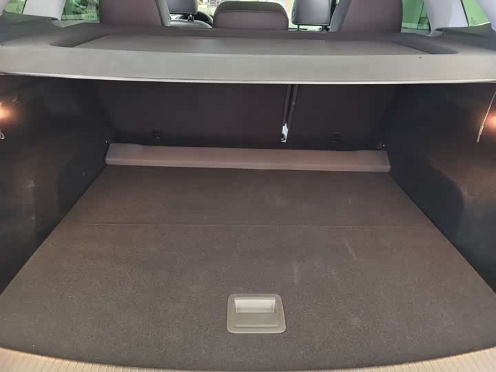 Photo 17 - Volkswagen Teramont X