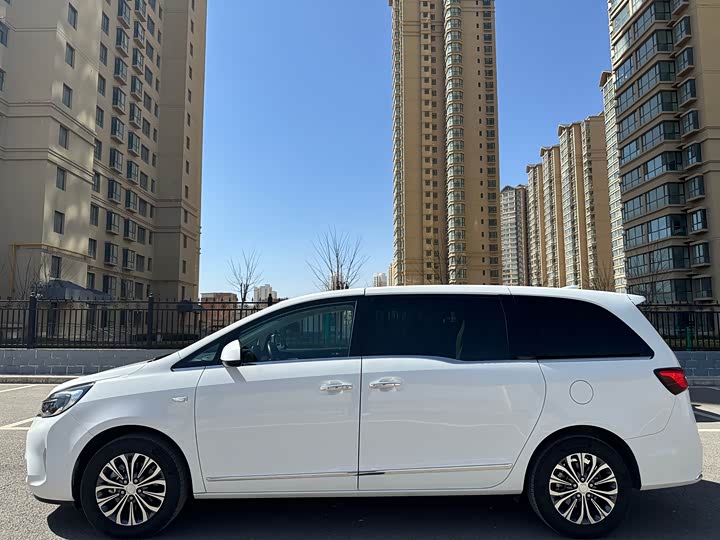 Фото 13 - Buick GL8 ES