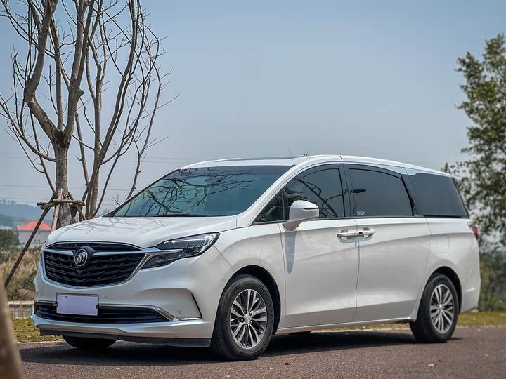 Фото 1 - Buick GL8 ES