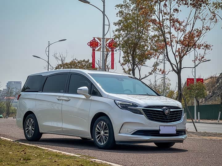 Фото 3 - Buick GL8 ES