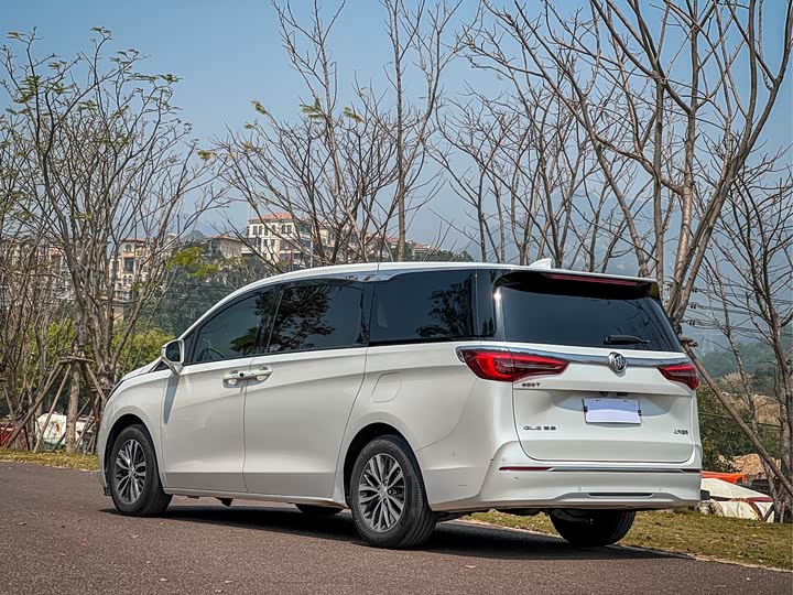 Фото 9 - Buick GL8 ES