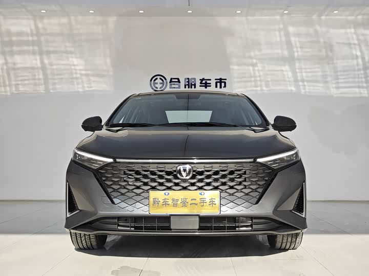 Фото 2 - Changan Raeton Plus