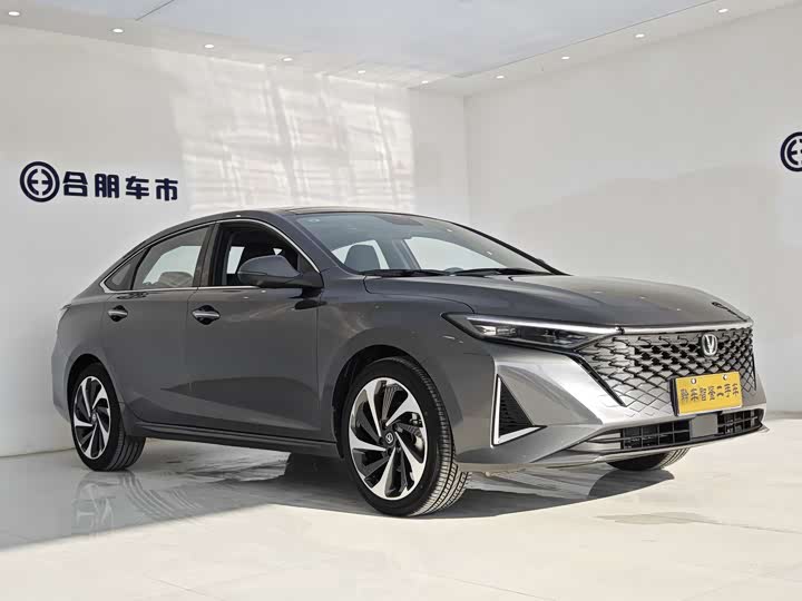 Фото 3 - Changan Raeton Plus