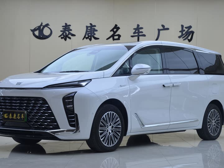 Фото 1 - Buick GL8 Hybrid