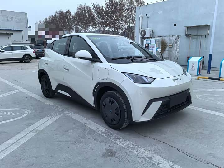 Фото 3 - BYD Seagull