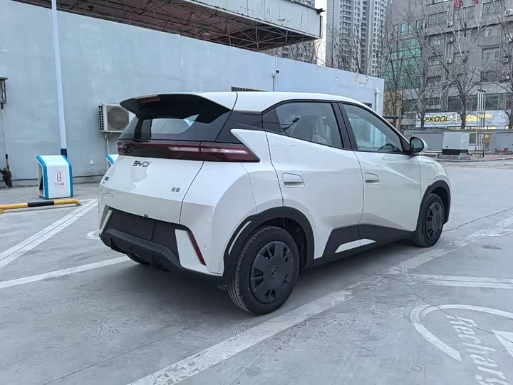 Фото 6 - BYD Seagull