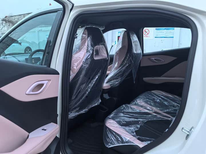 Фото 9 - BYD Seagull