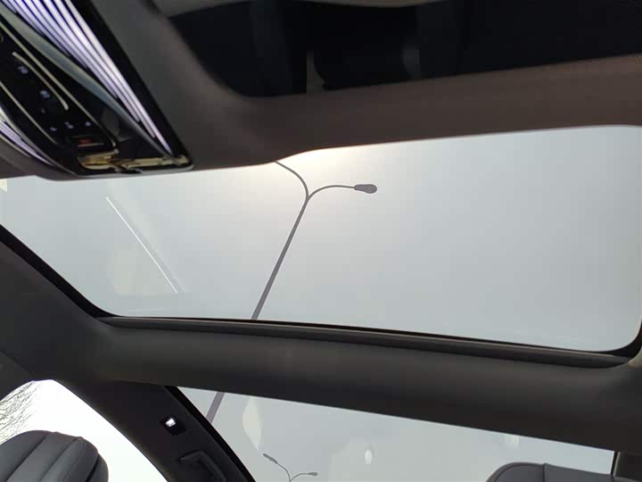 Фото 8 - Voyah Passion