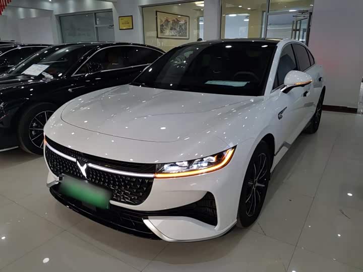 Фото 2 - Voyah Passion