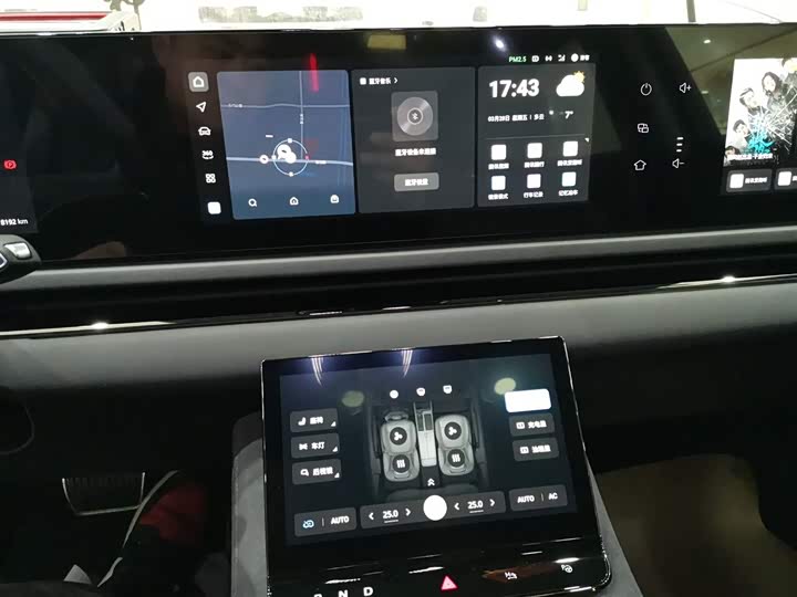 Фото 5 - Voyah Passion