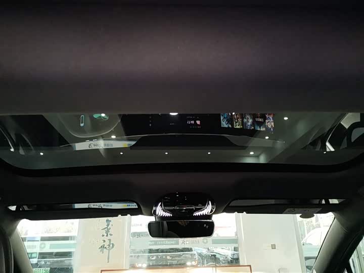 Фото 8 - Voyah Passion