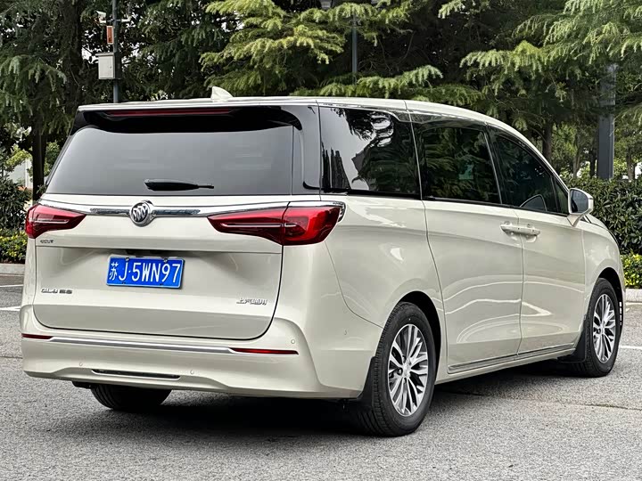 Фото 5 - Buick GL8 ES