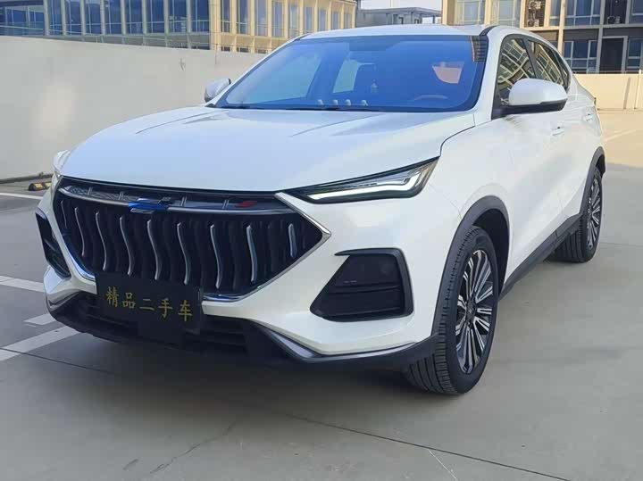 Фото 1 - Changan Oshan X5