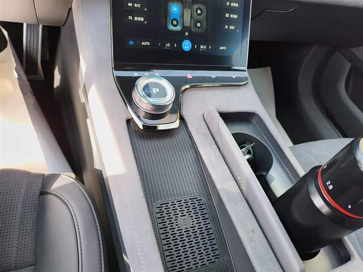 Фото 6 - Voyah Passion