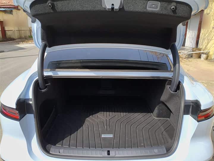 Фото 9 - Voyah Passion