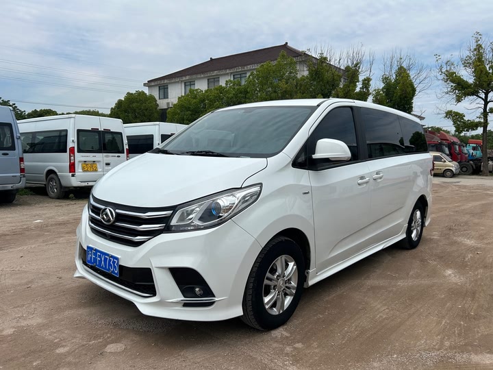 Фото 1 - Maxus G10