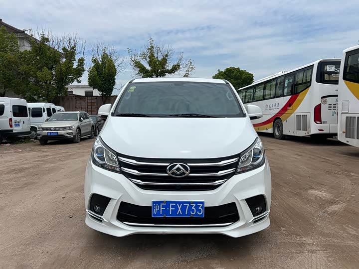 Фото 2 - Maxus G10