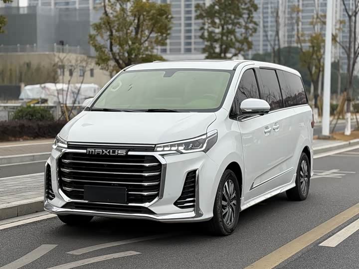 Фото 1 - Maxus G20