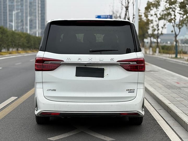 Фото 16 - Maxus G20