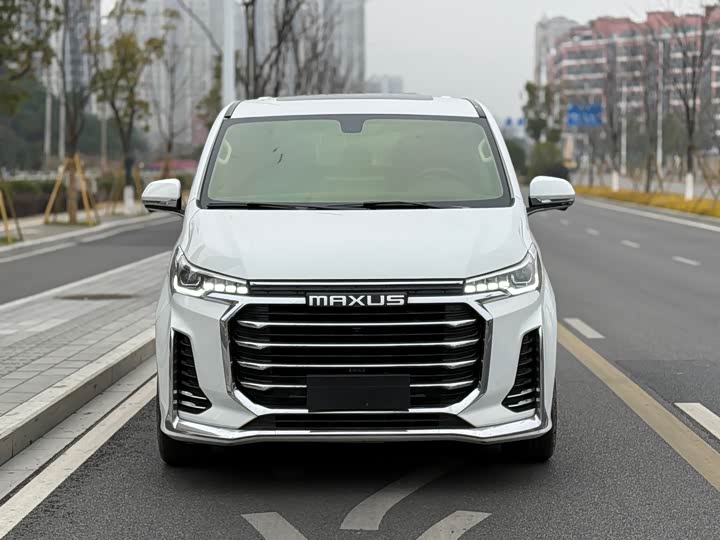 Фото 2 - Maxus G20