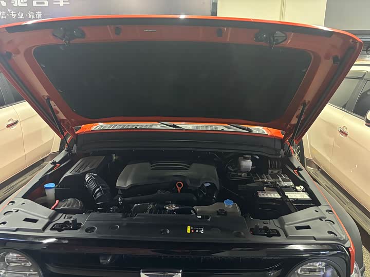 Фото 13 - Tank 300