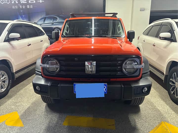 Фото 2 - Tank 300