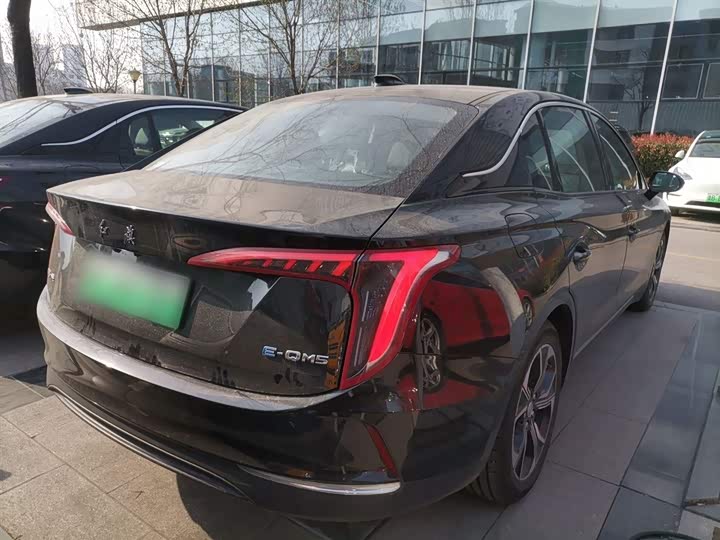 Фото 7 - Hongqi E-QM5