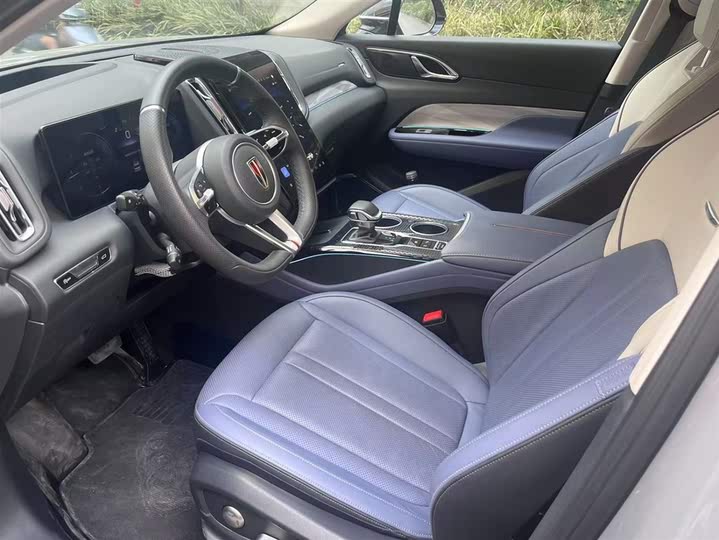 Фото 4 - Hongqi HS3