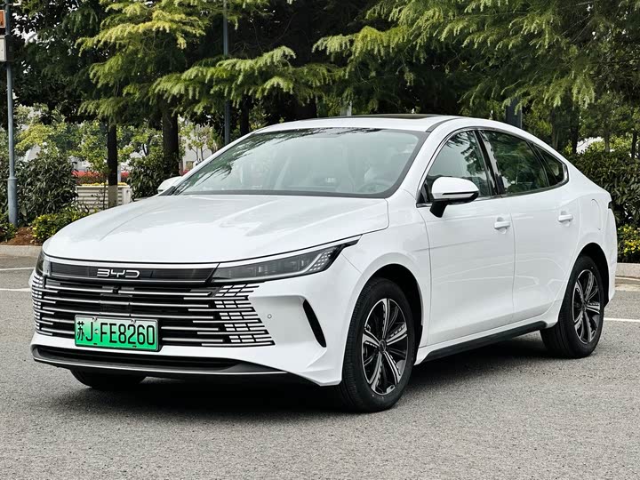 Фото 1 - BYD Destroyer 05