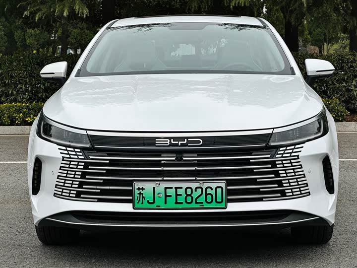 Фото 3 - BYD Destroyer 05