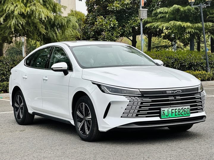 Фото 4 - BYD Destroyer 05