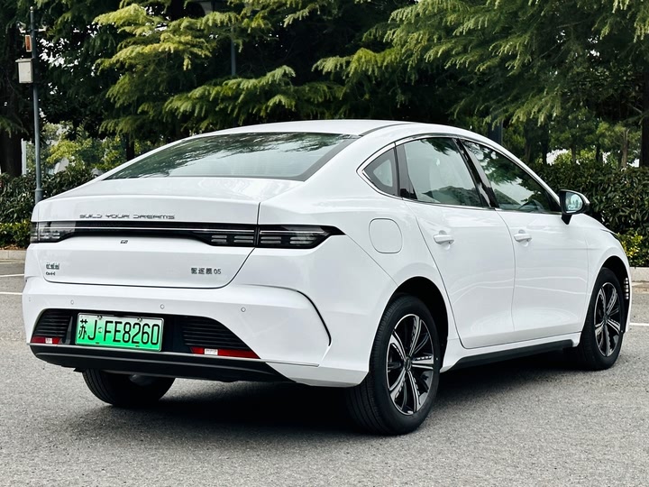 Фото 5 - BYD Destroyer 05