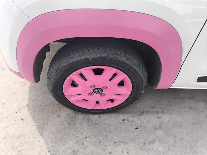 Фото 23 - Dongfeng Nammi Nano EX1 Pro